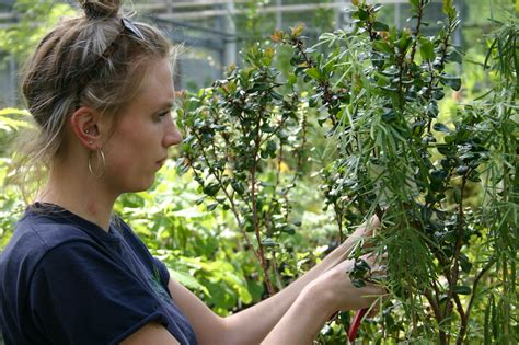 This Woman, Lush Botanist, Has Made 25000 Dollars By Selling。